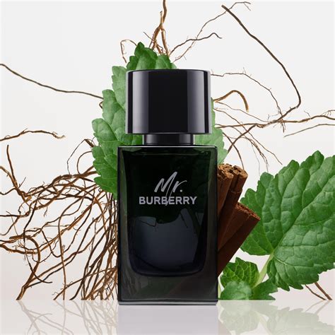 mr burberry ingredienti|mr burberry eau de parfum.